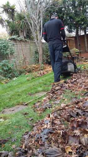 Reviews of All Round Town Garden and Property Maintenance in Maidstone - Landscaper