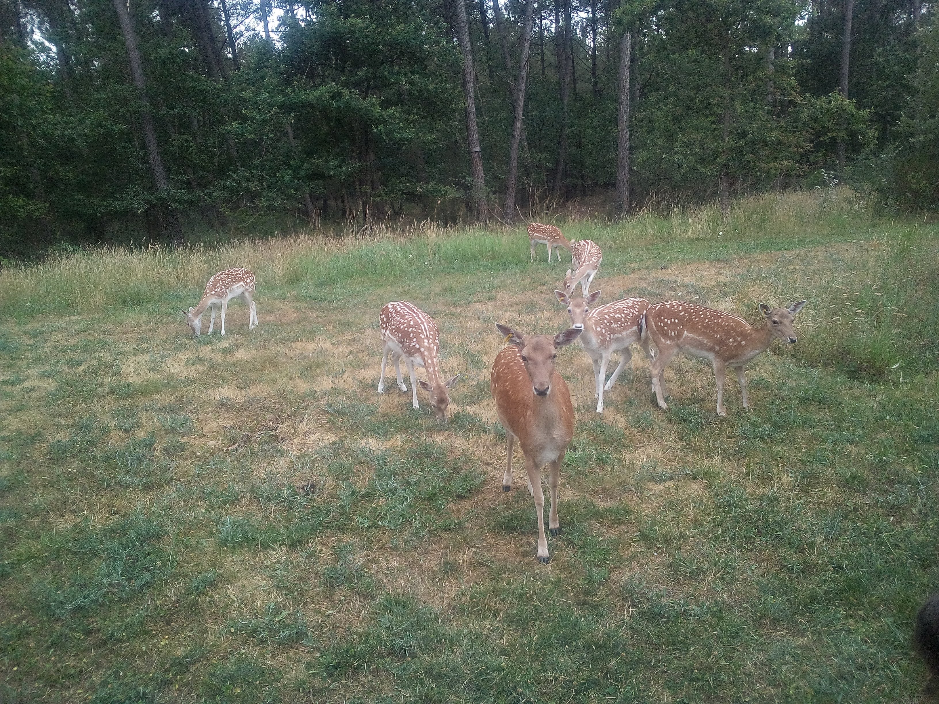 Photo n° 1 de l'avis de alain.o fait le 18/07/2019 à 17:43