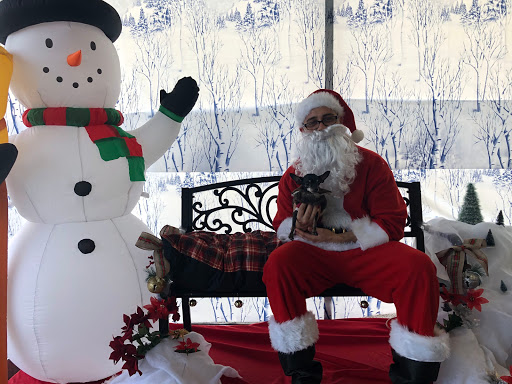 Pet Supply Store «Centinela Feed & Pet Supplies», reviews and photos, 3120 E Colorado Blvd, Pasadena, CA 91107, USA