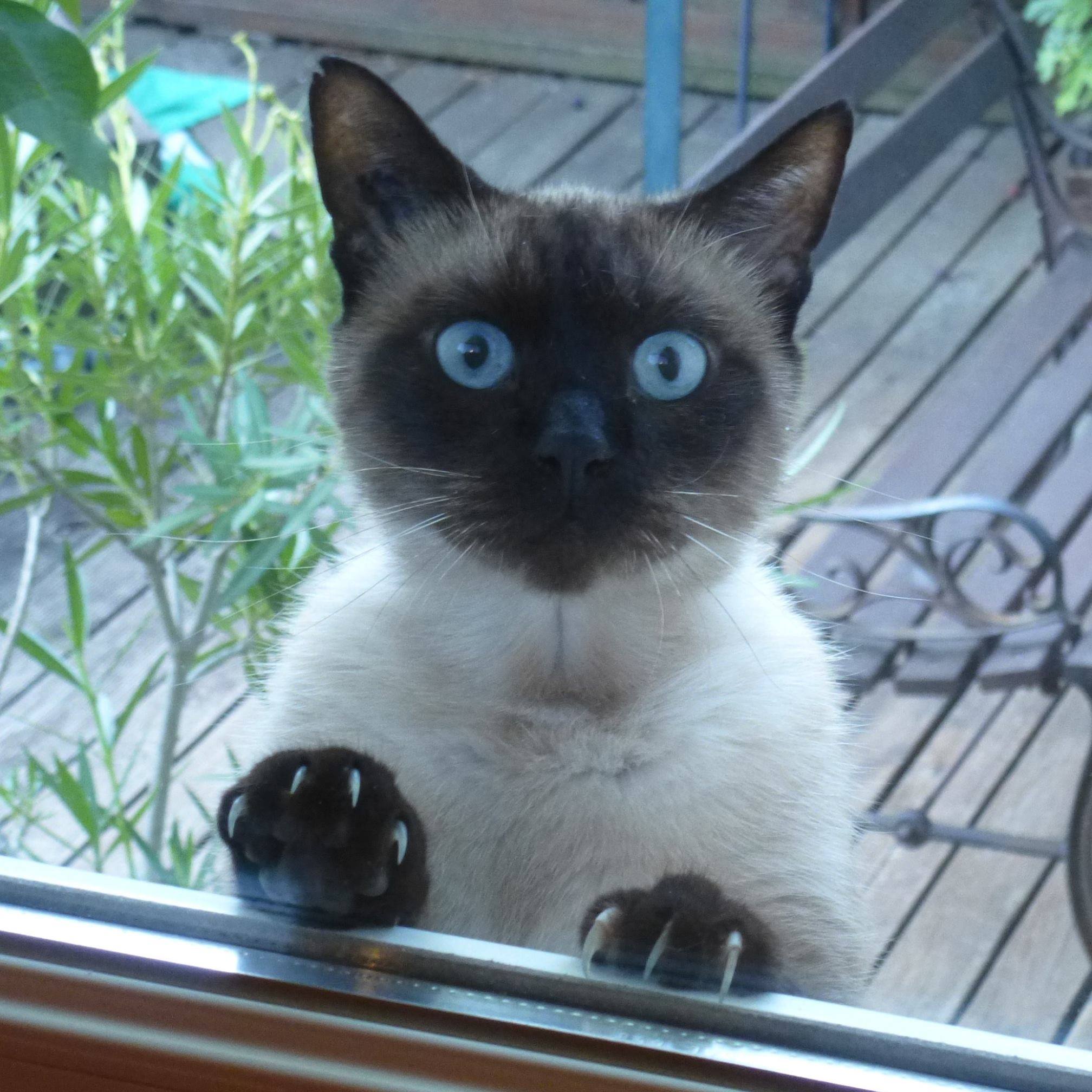 Photo n° 1 de l'avis de Anne.a fait le 22/05/2020 à 21:15