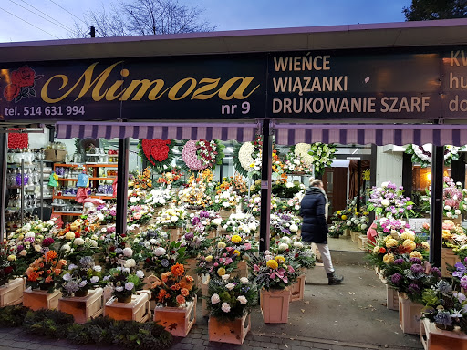 Kwiaciarnia Mimoza- Cmentarz Północny, Anna Zuznakiewicz