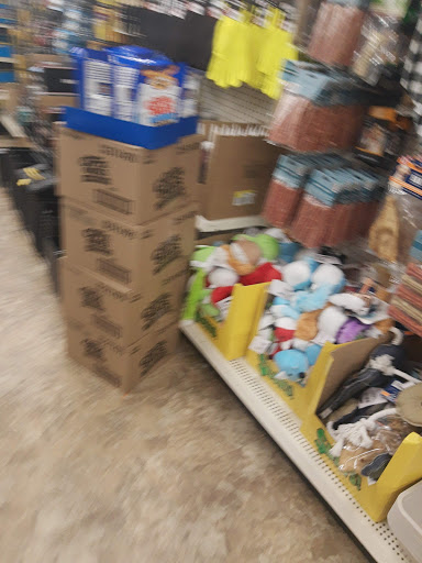 Dollar Store «Dollar Tree», reviews and photos, 6140 Rose Hill Dr, Alexandria, VA 22310, USA