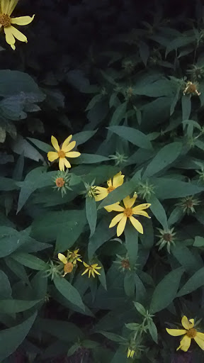 State Park «West Rock Ridge State Park», reviews and photos, 1134 Wintergreen Ave, New Haven, CT 06514, USA