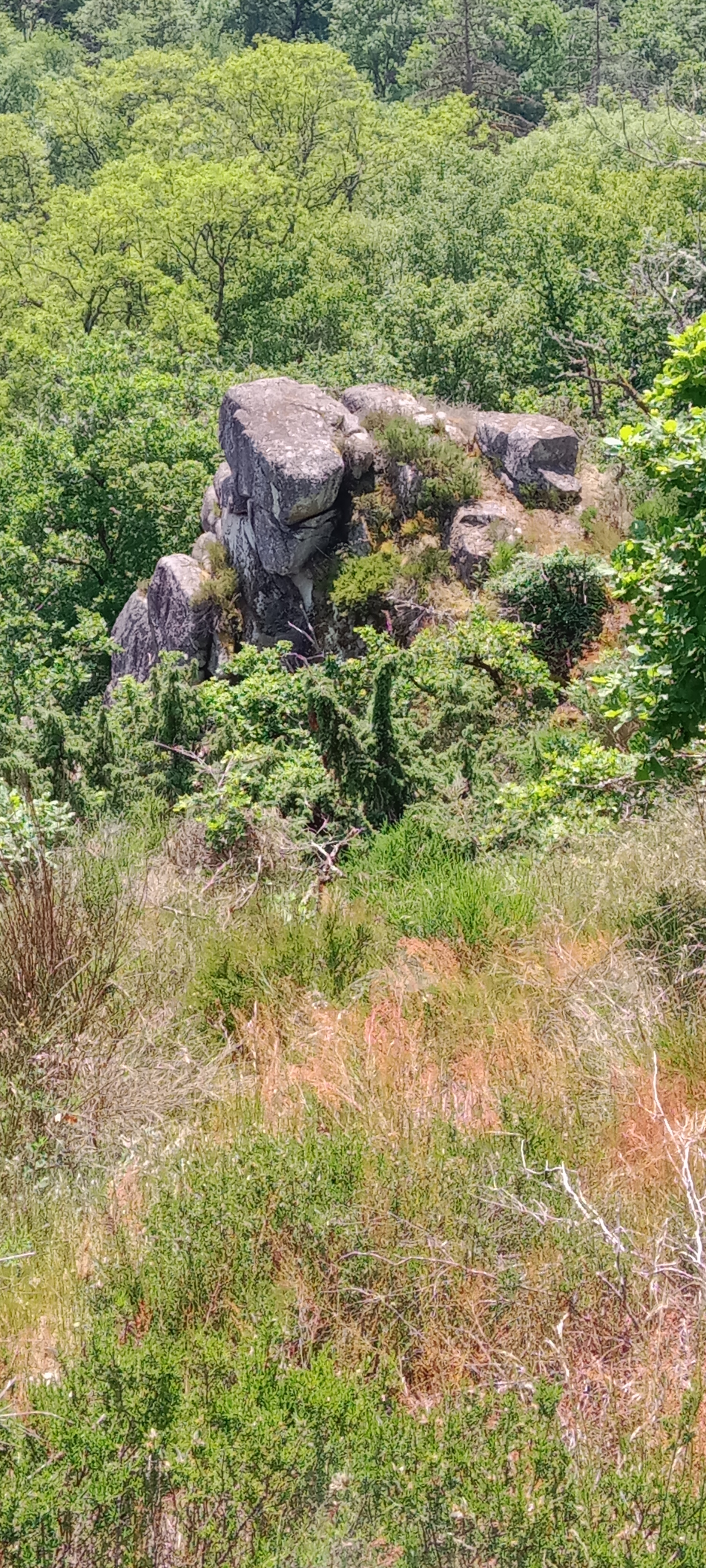Photo n° 5 de l'avis de Sébastien.h fait le 28/05/2023 à 18:59