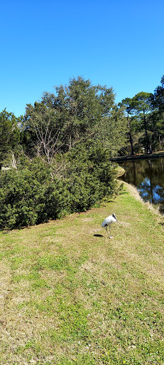 Stable «Lawton Stables», reviews and photos, 190 Greenwood Dr, Hilton Head Island, SC 29928, USA