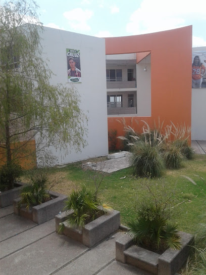 Departamento Universitario de Inglés, Zona Media