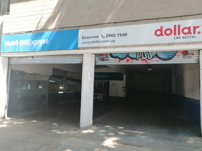 Opiniones de Dollar Rent a Car en Rosario - Agencia de alquiler de autos