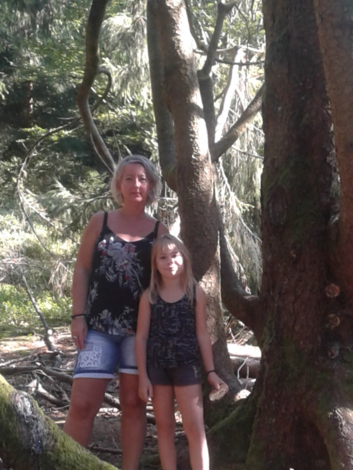 Photo n° 2 de l'avis de Stéphane.o fait le 25/08/2019 à 19:17