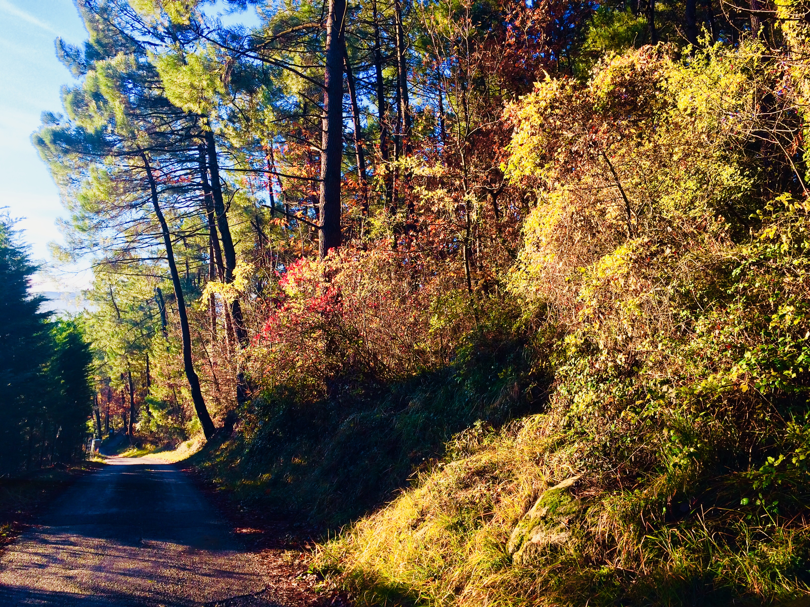 Photo n° 4 de l'avis de HELENE.N fait le 05/01/2019 à 11:51