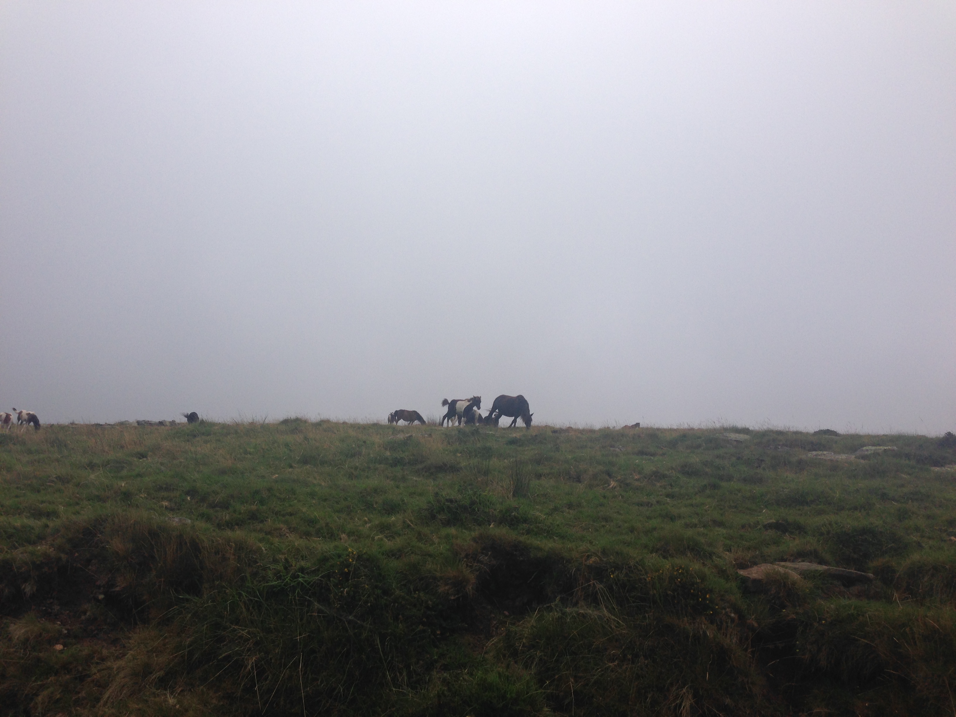 Photo n° 3 de l'avis de Vero.. fait le 15/08/2018 à 09:09