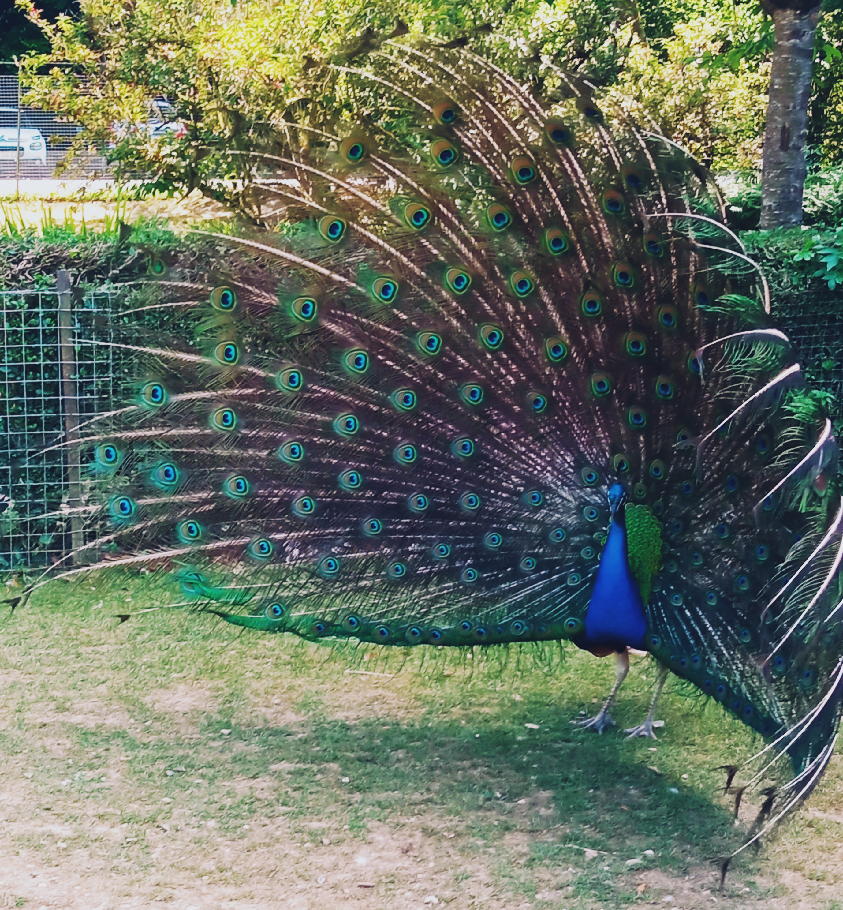 Photo n° 3 de l'avis de Orfelia.i fait le 02/08/2022 à 21:19