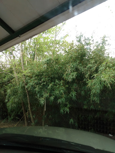 Fast Food Restaurant «Sonic Drive-In», reviews and photos, 4610 LA-22, Mandeville, LA 70471, USA