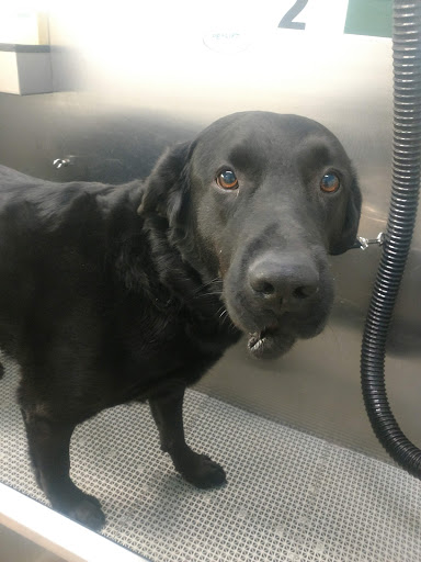 Pet Supply Store «Pet Supplies Plus», reviews and photos, 720 E Ogden Ave, Naperville, IL 60563, USA