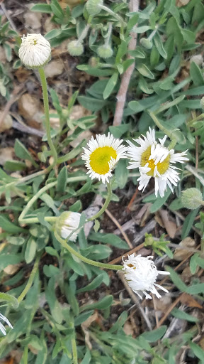 Park «Vermijo Park», reviews and photos, 2601 W Vermijo Ave, Colorado Springs, CO 80904, USA