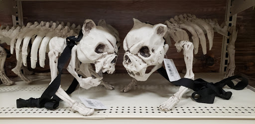 Craft Store «Michaels», reviews and photos, 105 Plaza Dr, Vallejo, CA 94591, USA