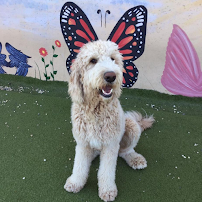 Cold Nose Lodge - Photo 7 - Car repair in Alburtis, PA, Allentown