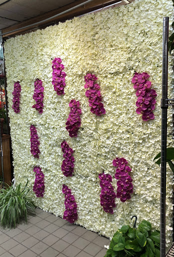 Florist «Ultima Florals», reviews and photos, 81-02 37th Ave, Jackson Heights, NY 11372, USA