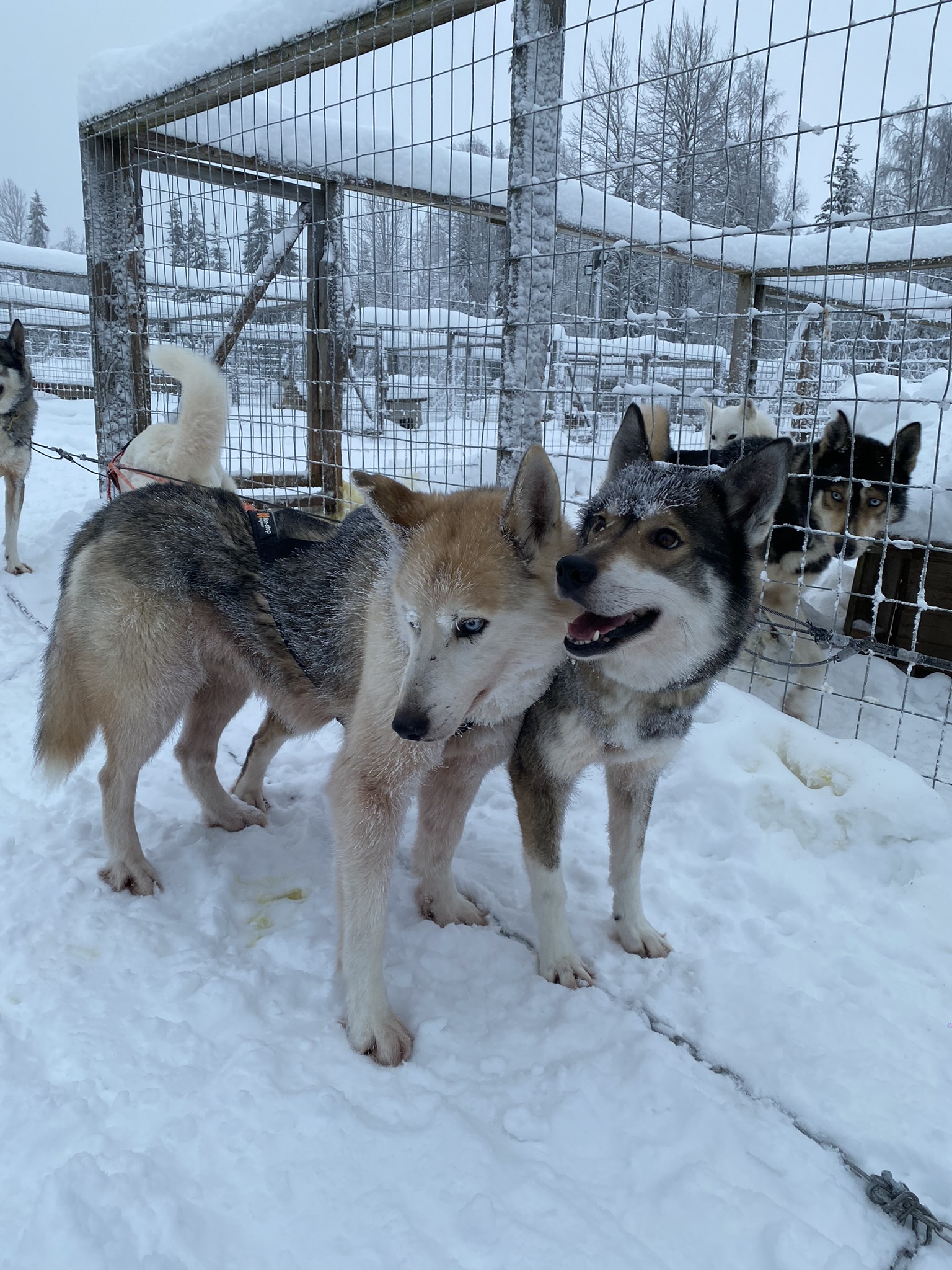 Photo n° 10 de l'avis de Justine.h fait le 31/01/2024 à 12:40