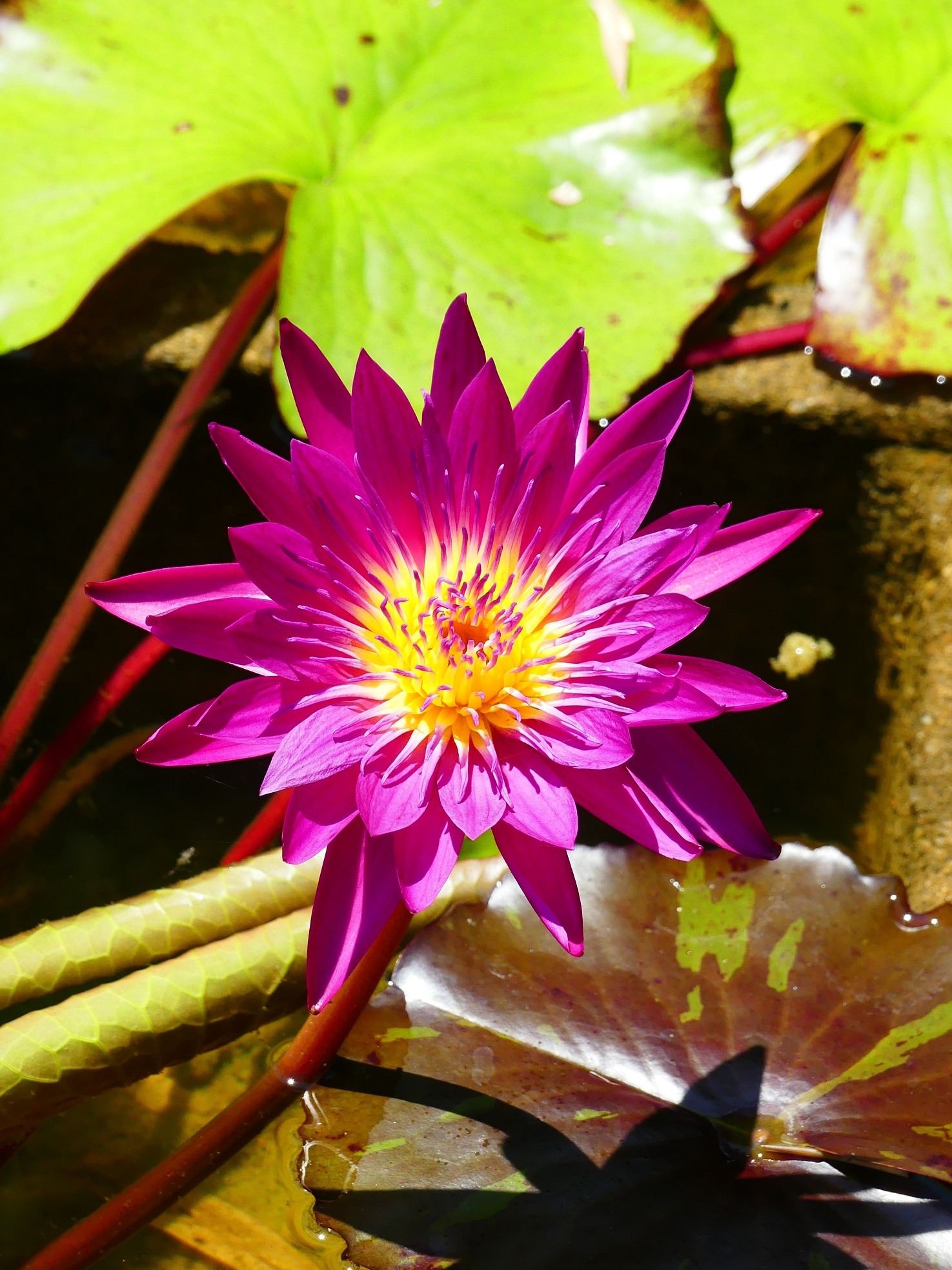 Photo n° 1 de l'avis de Liang.a fait le 10/07/2022 à 11:04