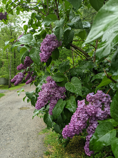 Golf Club «York Golf & Tennis Club», reviews and photos, 62 Organug Rd, York, ME 03909, USA