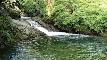 Reserva Científica Ebano Verde