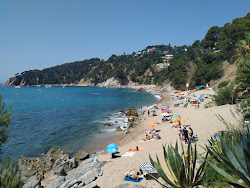 Foto di Spiaggia di Santa Maria de Llorell ubicato in zona naturale