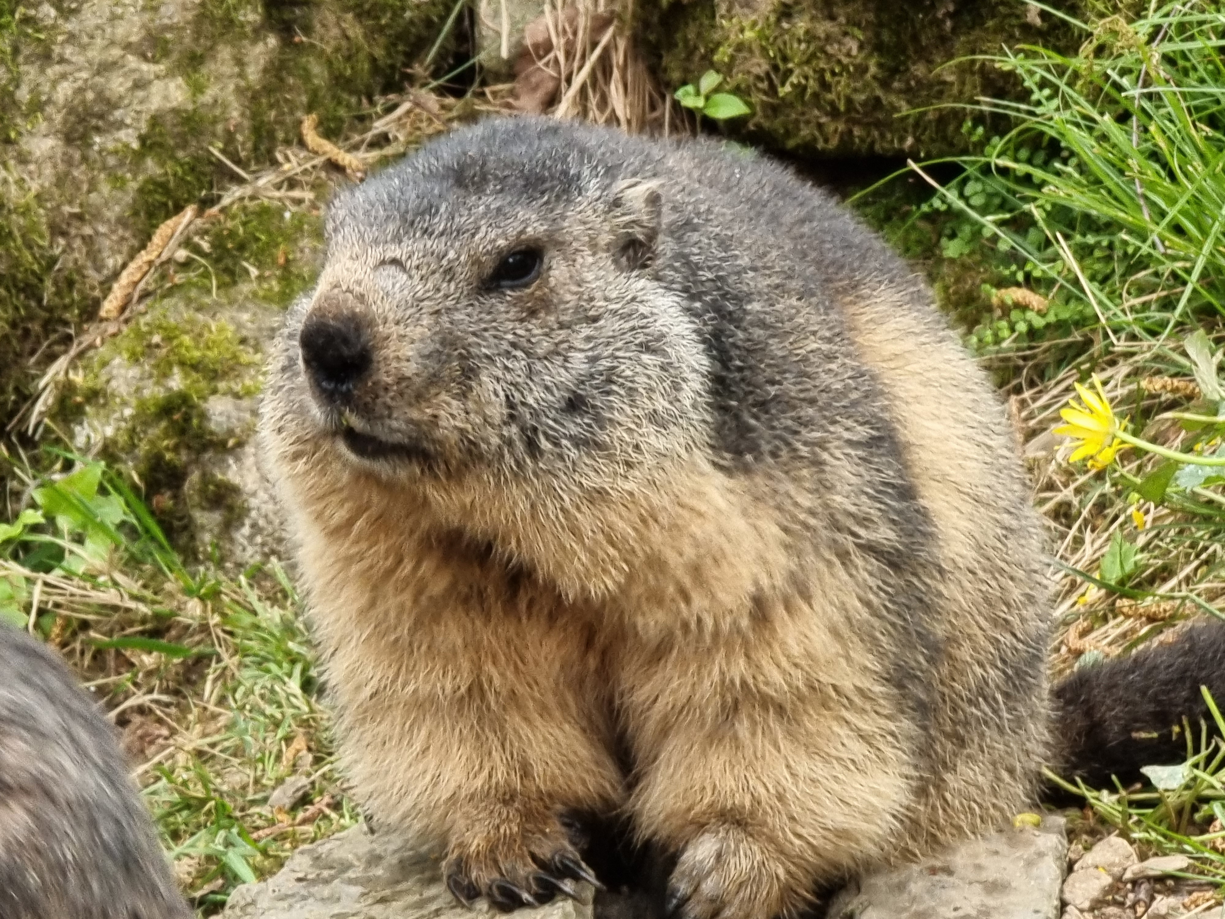 Photo n° 13 de l'avis de Noel.l fait le 12/04/2022 à 13:30