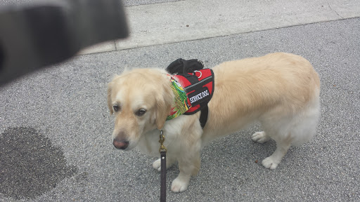 Pet Boarding Service «Ohana Pet Resort», reviews and photos, 25 N Grove St, Merritt Island, FL 32953, USA