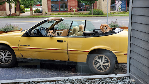 Auto Parts Store «AutoZone», reviews and photos, 7550 E 10 Mile Rd, Center Line, MI 48015, USA