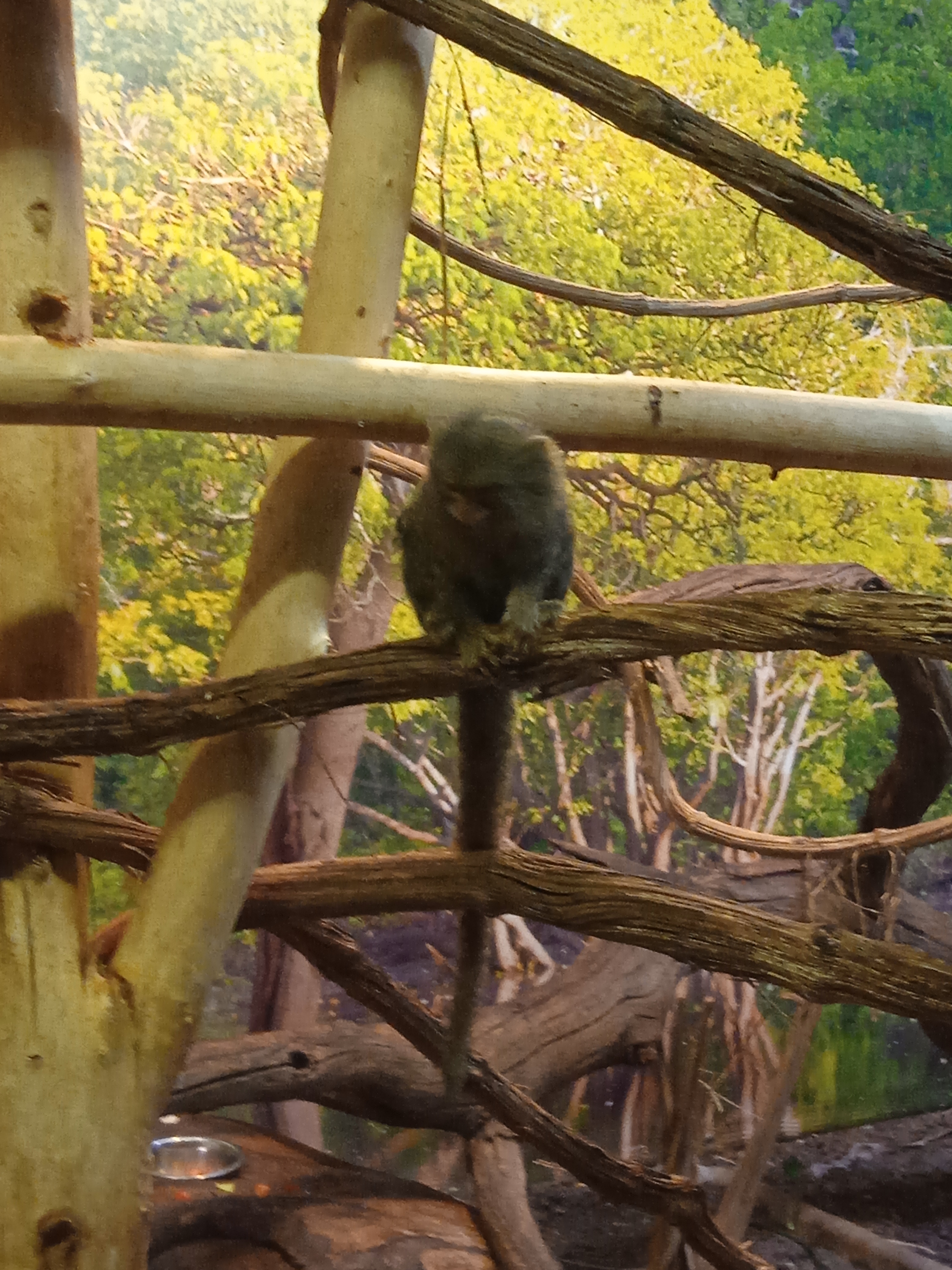 Photo n° 5 de l'avis de Gamer.p fait le 04/06/2022 à 18:21