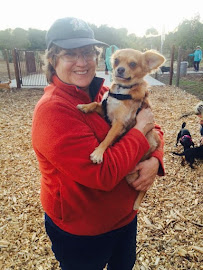 Ozzie Pals Pet Sitting and Dog Walking Service - Photo 1 - Car repair in , Vallejo