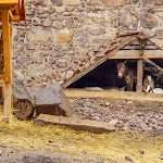 Photo n°3 de l'avis de Michael. fait le 31/12/2018 à 09:17 sur le  Burgschenke Hocheppan à Eppan an der Weinstraße