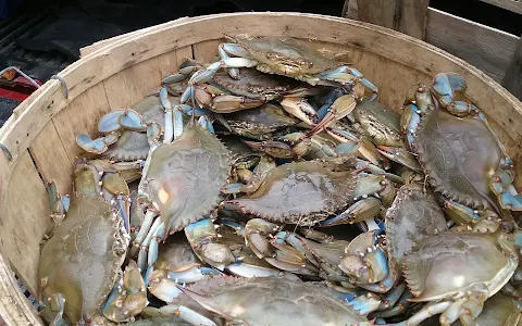 Crab Shack image