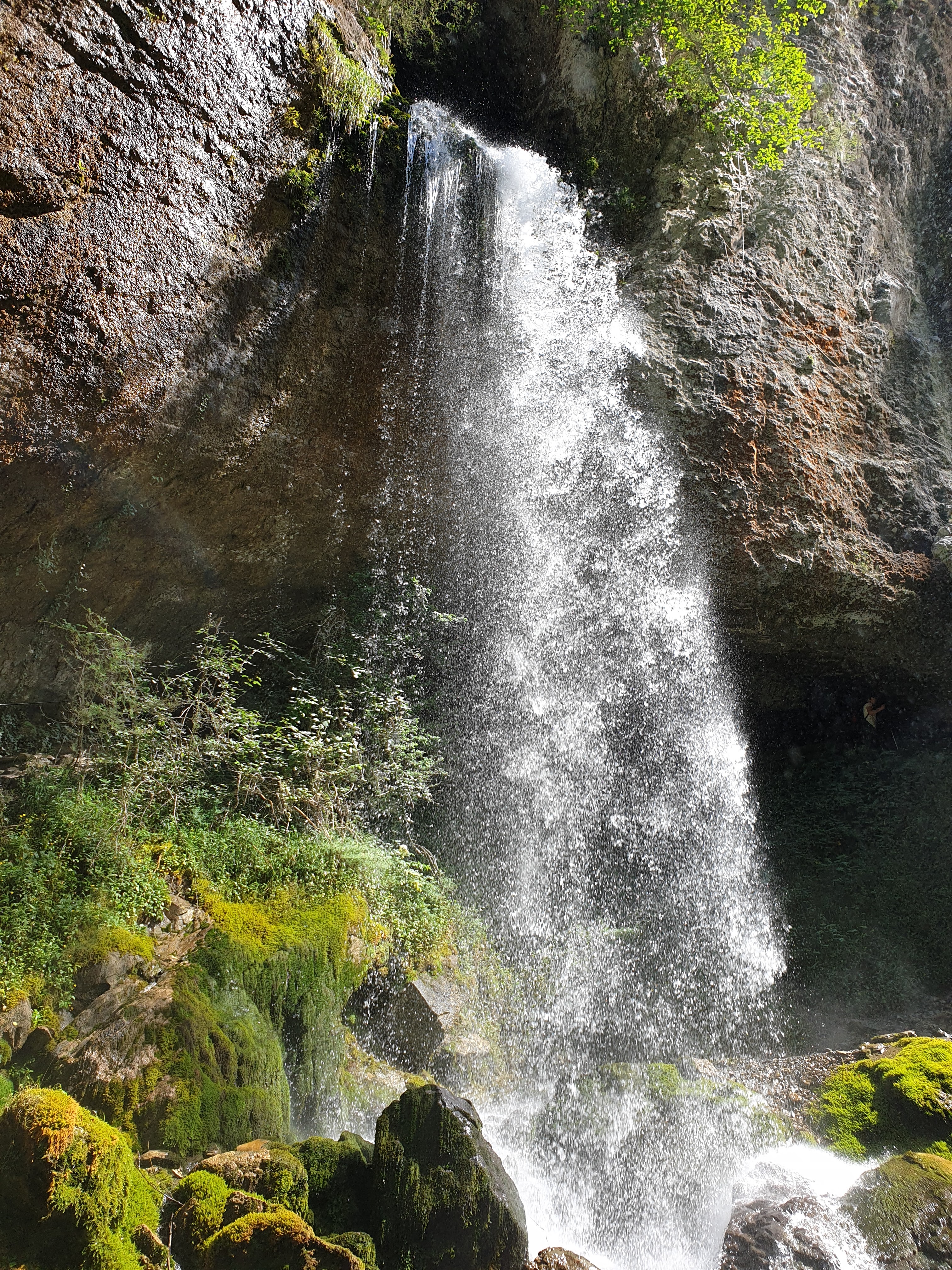 Photo n° 14 de l'avis de YAL. fait le 04/08/2019 à 07:26