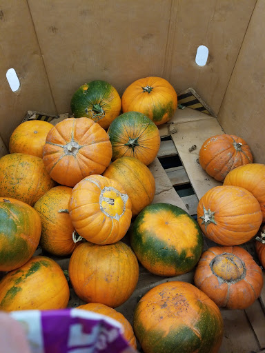 Discount Store «99 Cents Only Stores», reviews and photos, 4144 N Oracle Rd, Tucson, AZ 85705, USA