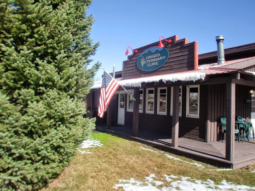Driggs Veterinary Clinic image