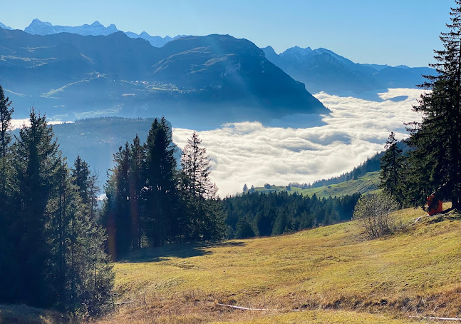 Kommentare und Rezensionen über ALP-Region-Mythen Sonnenhütte