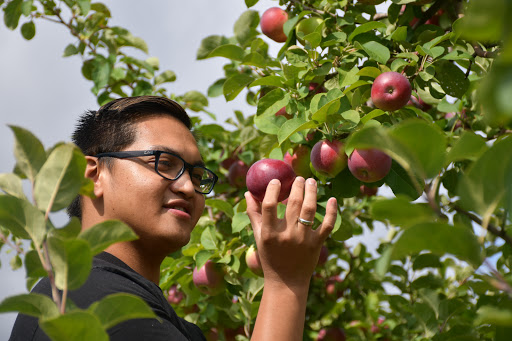 Verger Bio À la Croisée des pommes inc