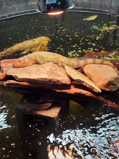 Aquarium «Skoolz of Fish», reviews and photos, 1503 Chamberlayne Ave, Richmond, VA 23222, USA