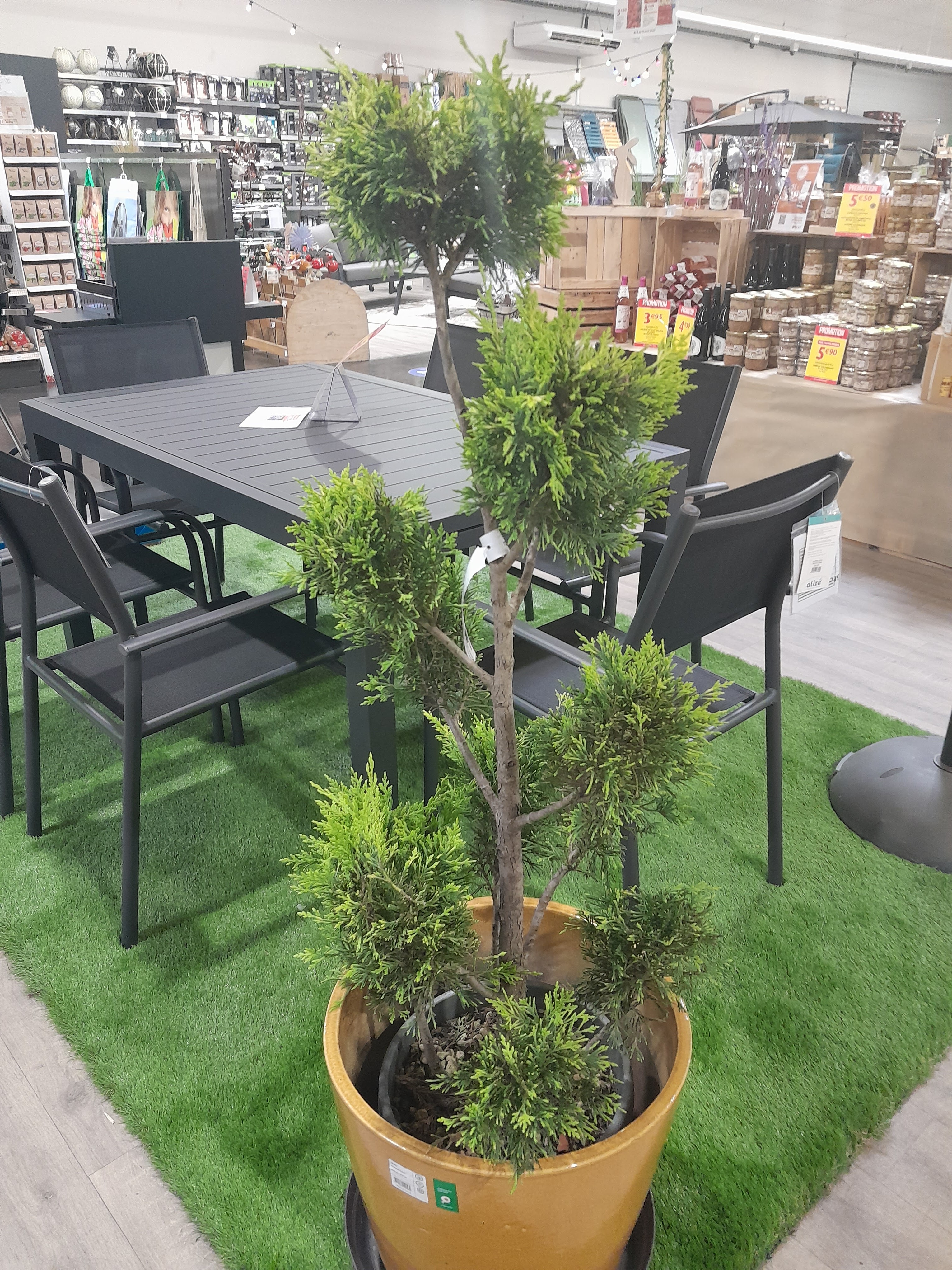 Photo n° 2 de l'avis de Marion. fait le 22/05/2019 à 15:39