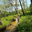 Julie J. Metz Neabsco Creek Wetlands Preserve