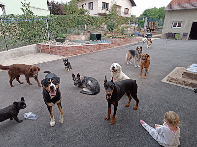 Halia et compagnie à Riedseltz