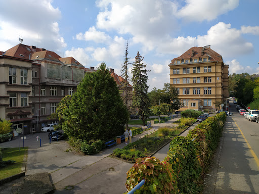 Fibromyalgia specialists in Prague