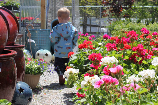 Hardware Store «Northwood Hardware, Home & Garden», reviews and photos, 6053 S Glen Lake Rd, Glen Arbor, MI 49636, USA