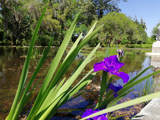 Botanical Garden «Brookgreen Gardens», reviews and photos, 1931 Brookgreen Garden Dr, Murrells Inlet, SC 29576, USA