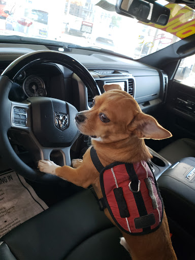 Car Dealer «Hanlees Chrysler Dodge Jeep Ram of Napa», reviews and photos, 333 Soscol Ave, Napa, CA 94559, USA