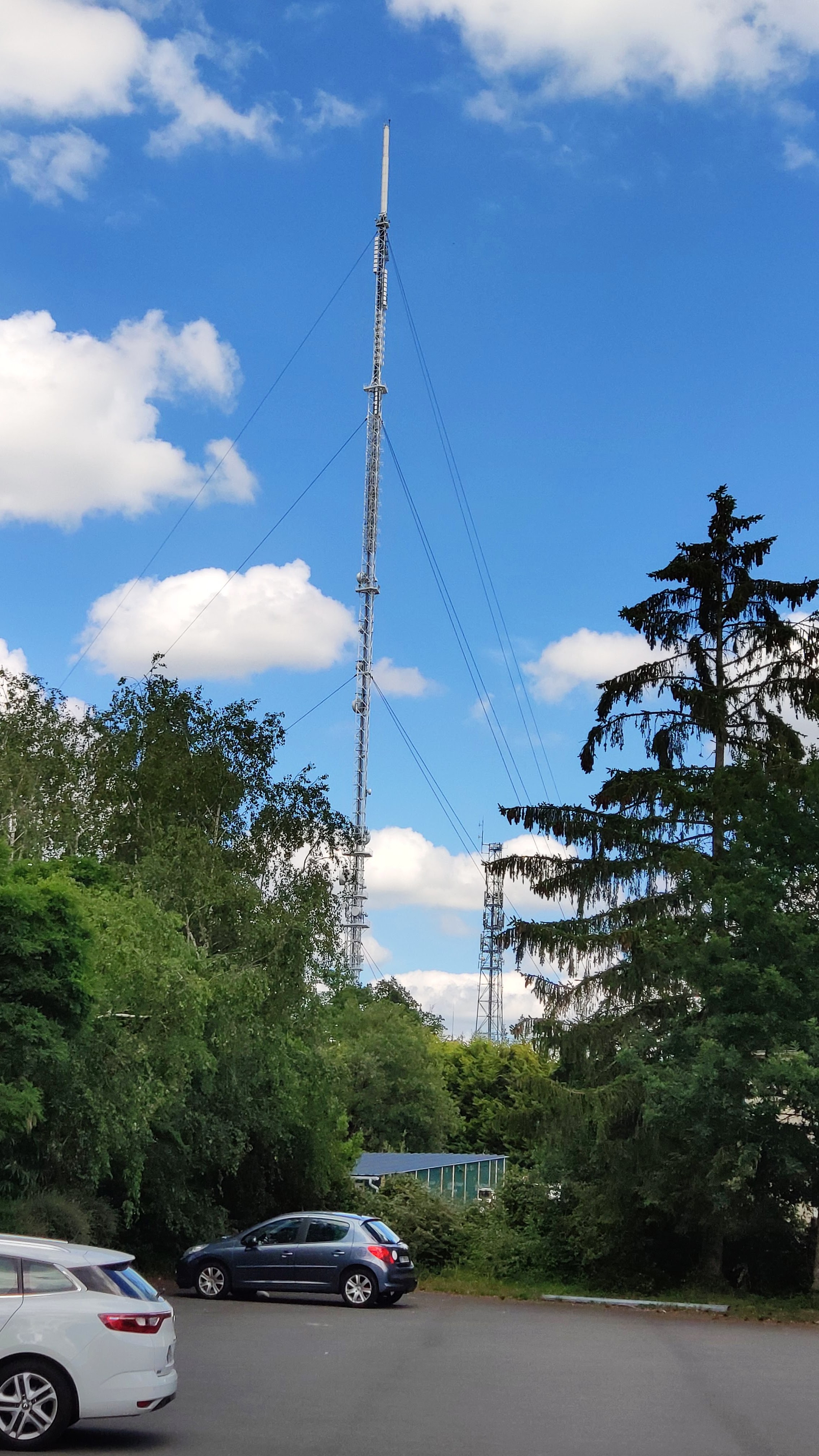 Photo n° 2 de l'avis de Vince.e fait le 25/06/2019 à 08:16