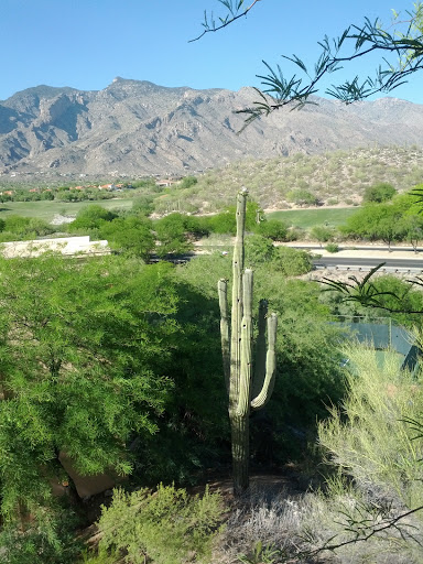 Golf Course «La Paloma Country Club», reviews and photos, 3660 E Sunrise Dr, Tucson, AZ 85718, USA