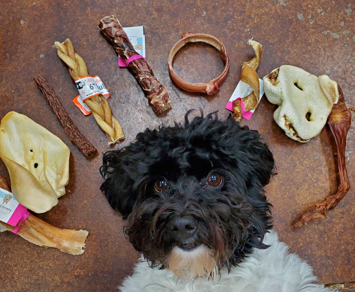 Pet Supply Store «Odyssey Pets», reviews and photos, 14999 Preston Rd #400a, Dallas, TX 75254, USA