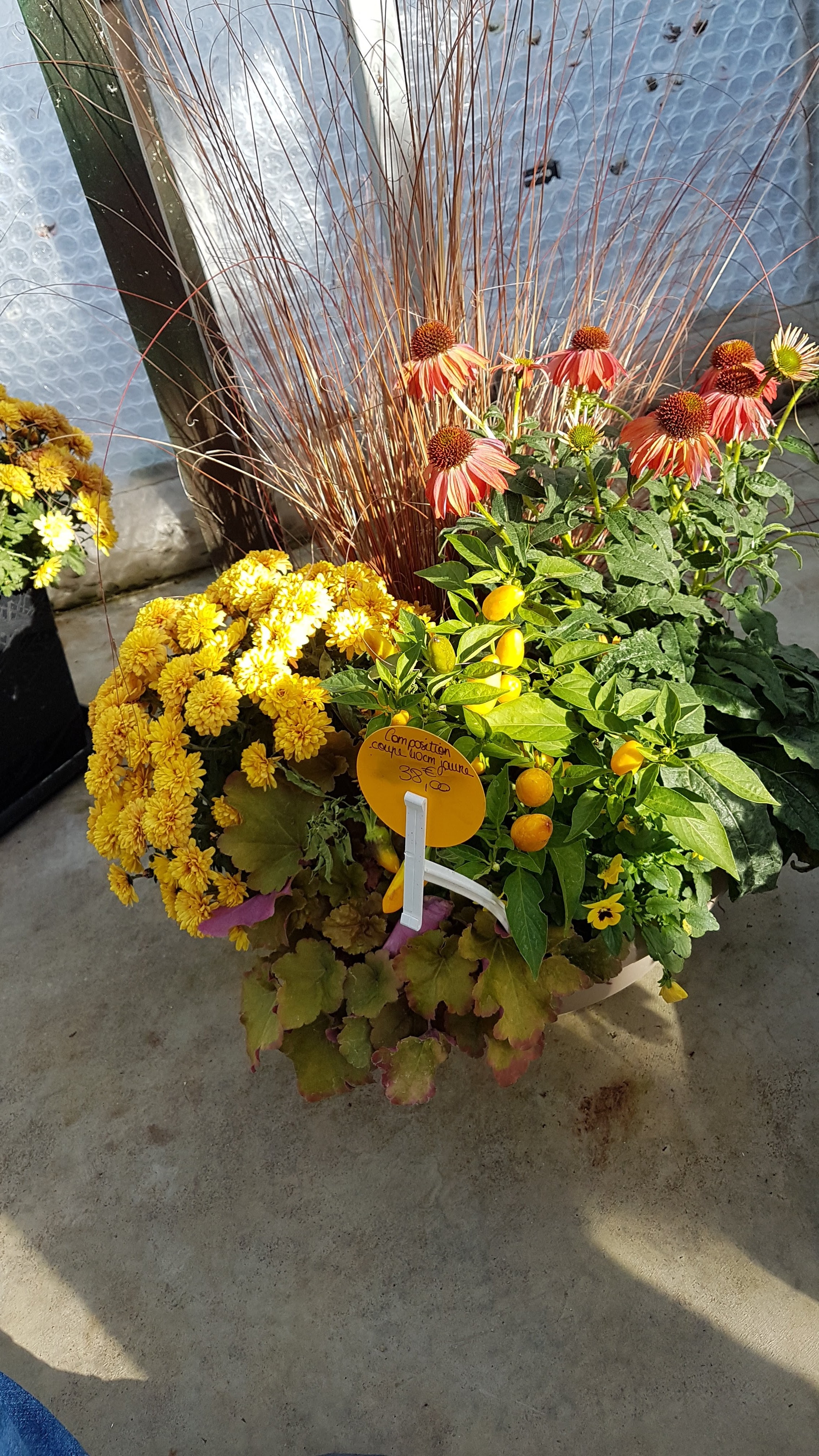 Photo n° 3 de l'avis de Céline.a fait le 20/11/2019 à 12:07